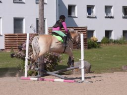 IMG_5570_web